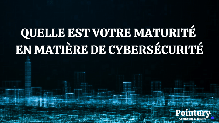 Cybersecurity Maturity FR
