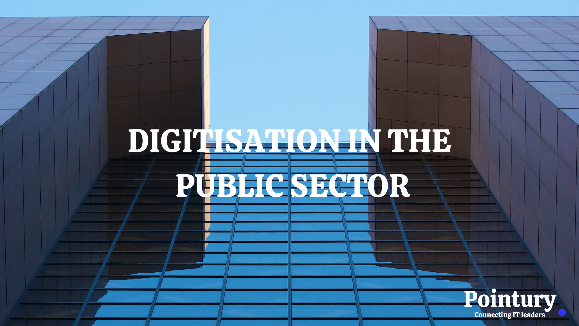 DIGITISATION IN PUBLIC SECTOR